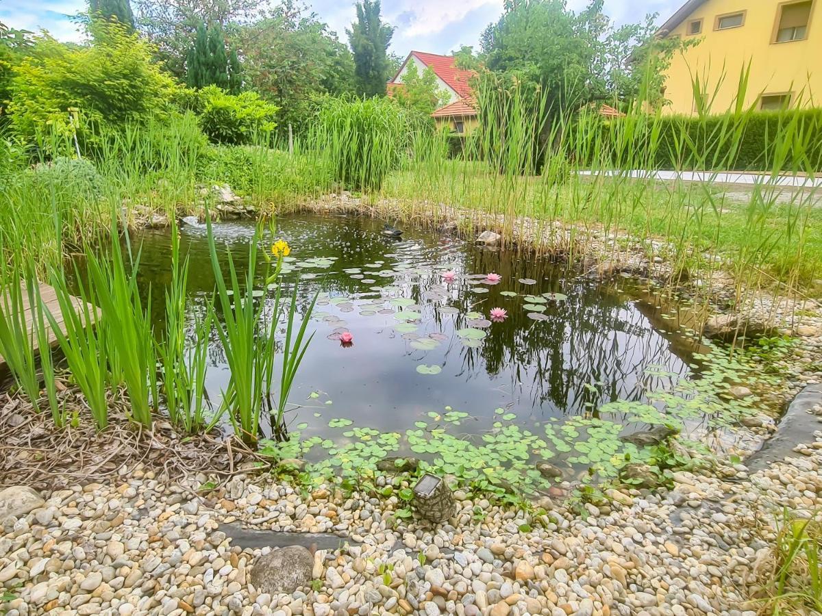 Ditlin Apartmanok Pápa Kültér fotó